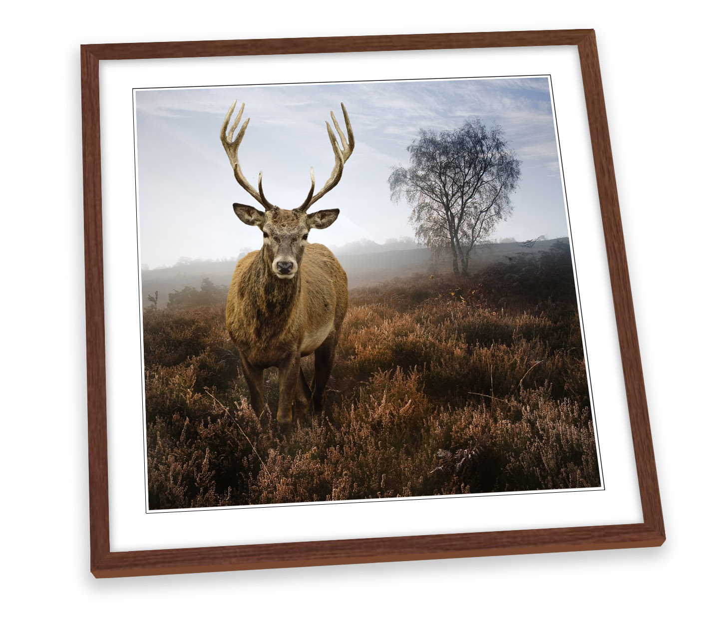 Stag Deer Sunset Forest CANVAS WALL ART SQUARE Picture Print 