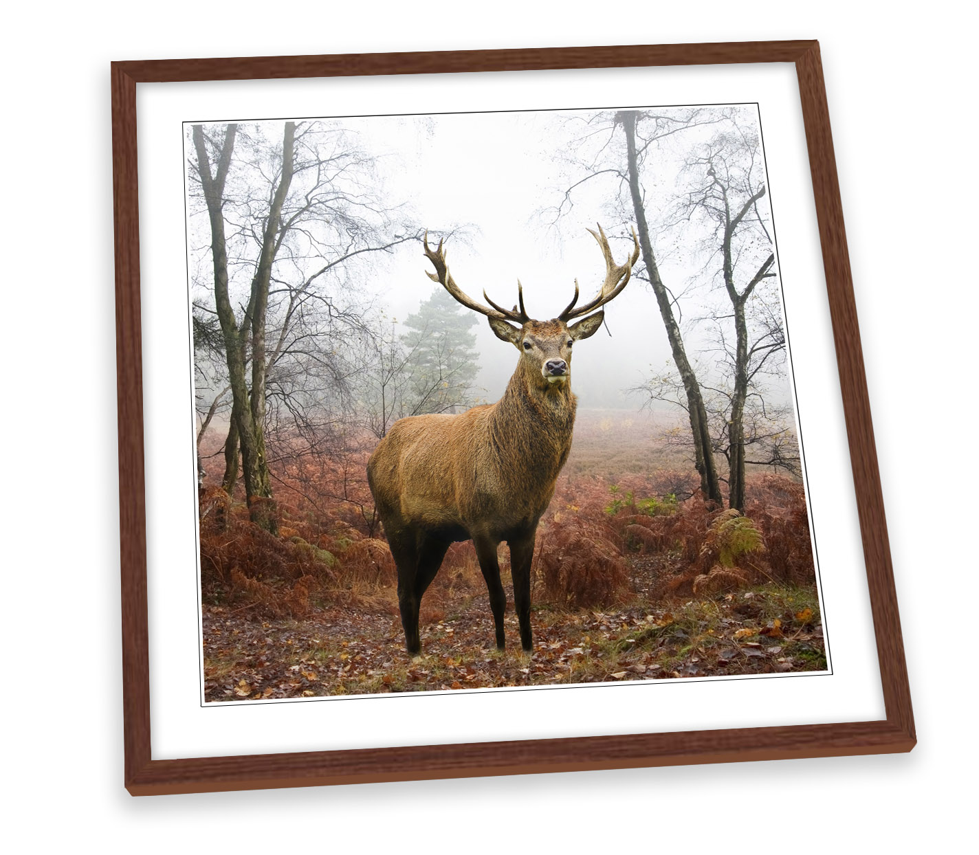 Deer Stag Highlands Picture CANVAS WALL ART Square Print