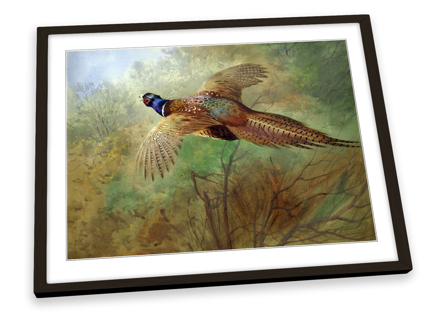 Pheasants Canvas Print Large Picture Wall Print 